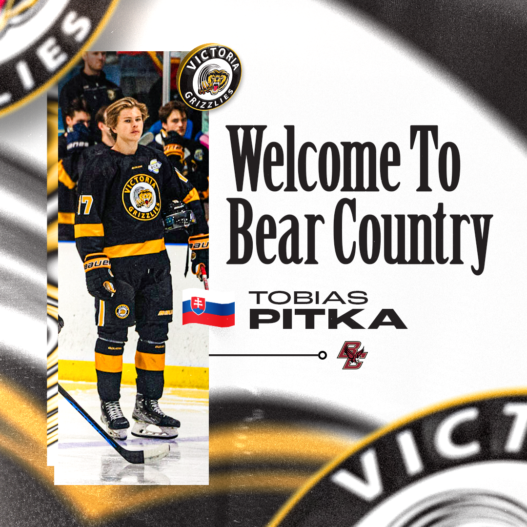 Welcome to Bear Country: Tobias Pitka